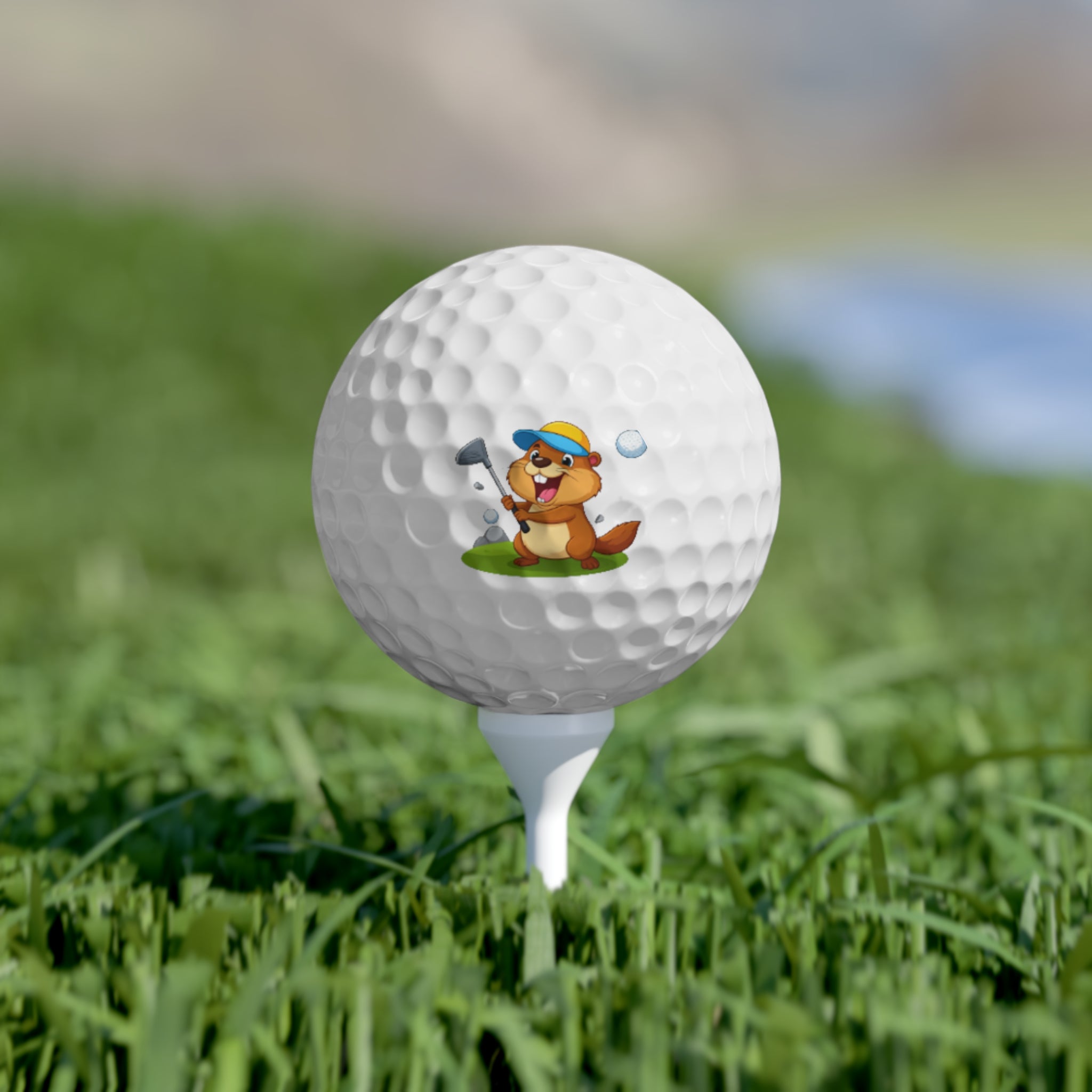 Funny Golf Balls Set – Cartoon Character Golf Gift, Unique Golf Accessories, Custom Golf Balls for Tournaments & Birthdays